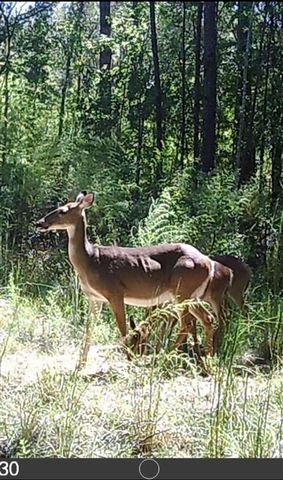 24378 N Highway 383, Iowa, LA 70647