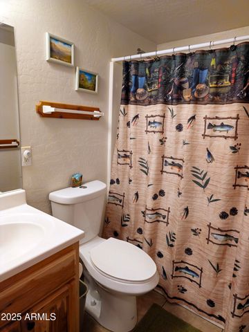 134 E Belluzzi Boulevard, Payson, AZ 85541