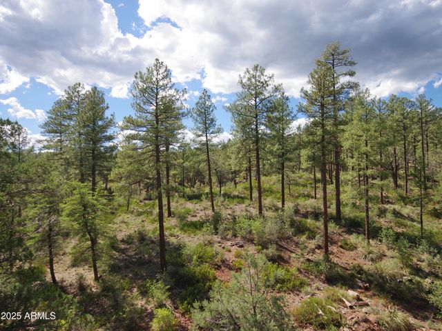 134 E Belluzzi Boulevard, Payson, AZ 85541