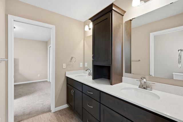 16229 Duskwood Trail, Lakeville, MN 55044