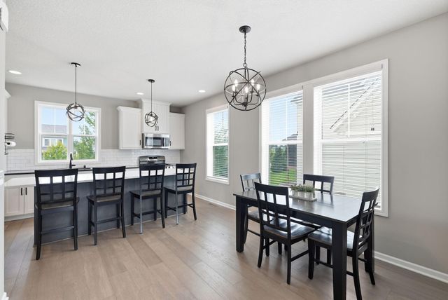 16229 Duskwood Trail, Lakeville, MN 55044