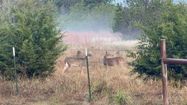 108 Red Eagle Court, Weatherford, TX 76087