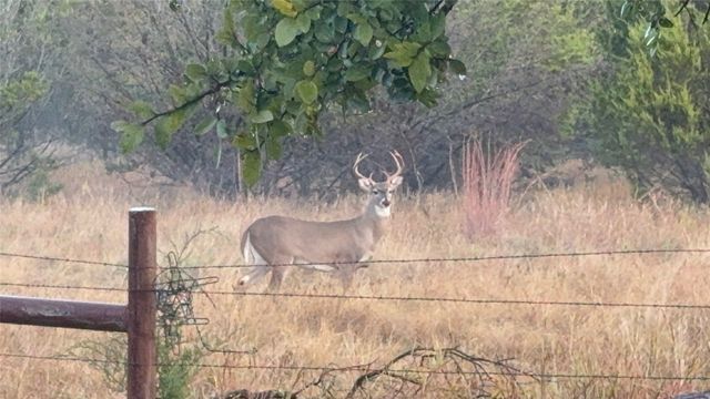 108 Red Eagle Court, Weatherford, TX 76087