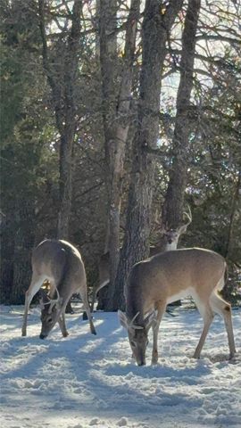 108 Red Eagle Court, Weatherford, TX 76087