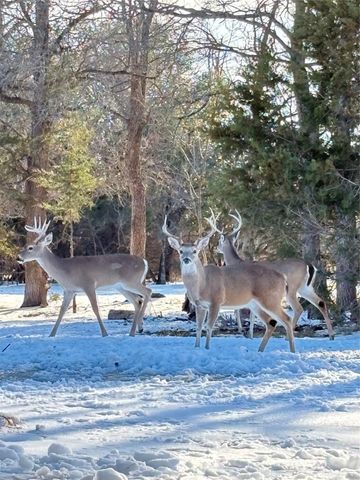 108 Red Eagle Court, Weatherford, TX 76087