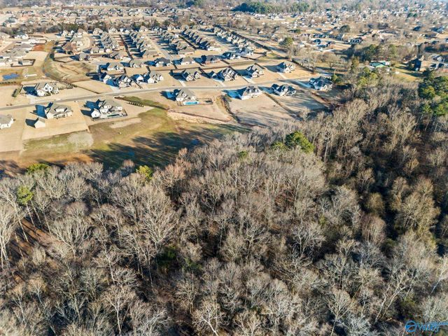 108 Naismith Drive, Meridianville, AL 35759