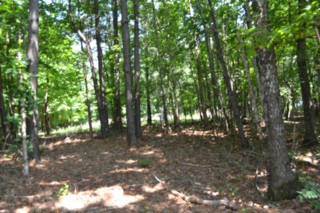 0 Topside Dr, Spencer, TN 38585