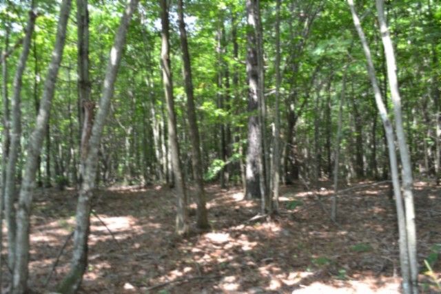 0 Topside Dr, Spencer, TN 38585