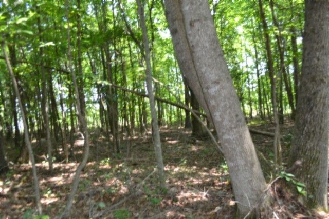 0 Topside Dr, Spencer, TN 38585