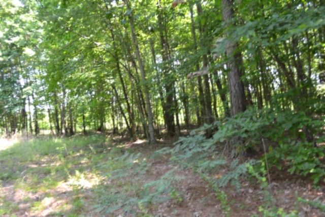 0 Topside Dr, Spencer, TN 38585