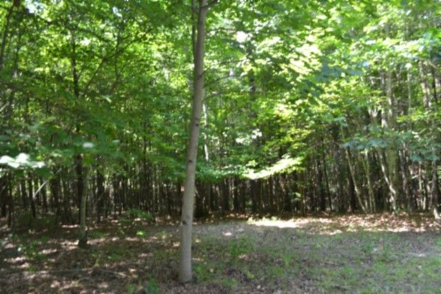 0 Topside Dr, Spencer, TN 38585