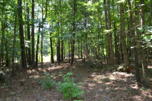 0 Topside Dr, Spencer, TN 38585