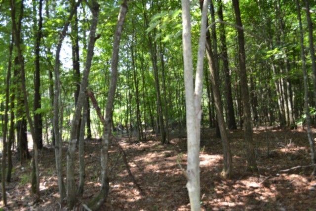 0 Topside Dr, Spencer, TN 38585