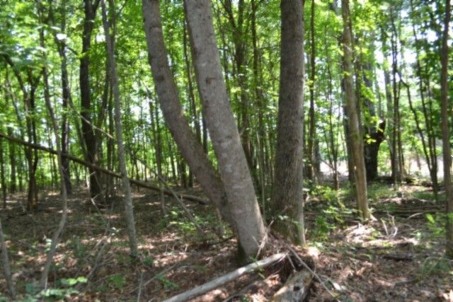 0 Topside Dr, Spencer, TN 38585