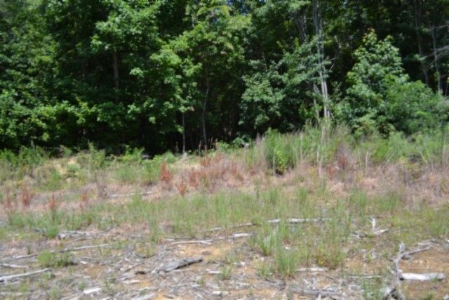 0 Topside Dr, Spencer, TN 38585