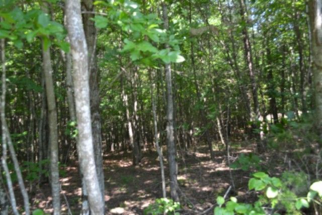 0 Topside Dr, Spencer, TN 38585