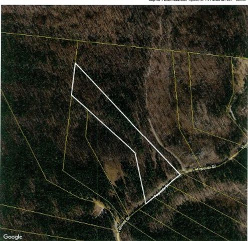 0 Topside Dr, Spencer, TN 38585