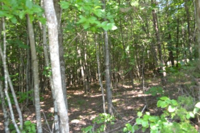 0 Topside Dr, Spencer, TN 38585