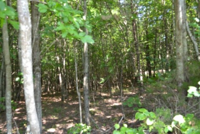 0 Topside Dr, Spencer, TN 38585