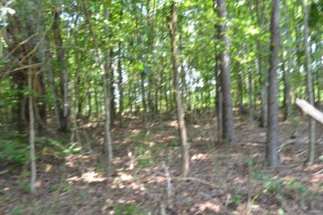 0 Topside Dr, Spencer, TN 38585