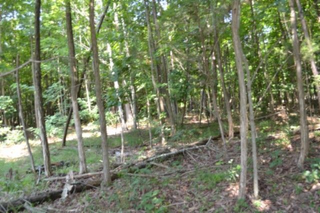 0 Topside Dr, Spencer, TN 38585
