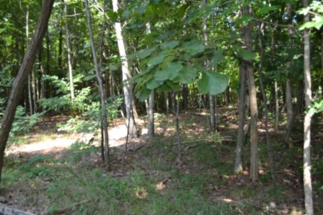 0 Topside Dr, Spencer, TN 38585