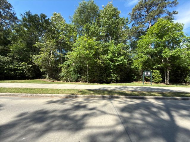 3057 Pampaneria Drive, Conroe, TX 77301