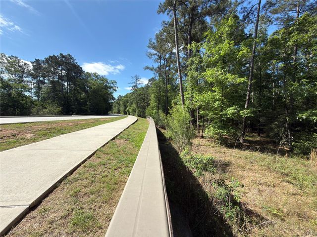 3057 Pampaneria Drive, Conroe, TX 77301