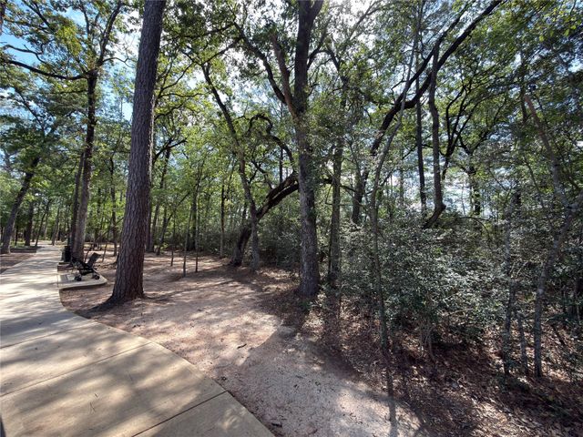 3057 Pampaneria Drive, Conroe, TX 77301