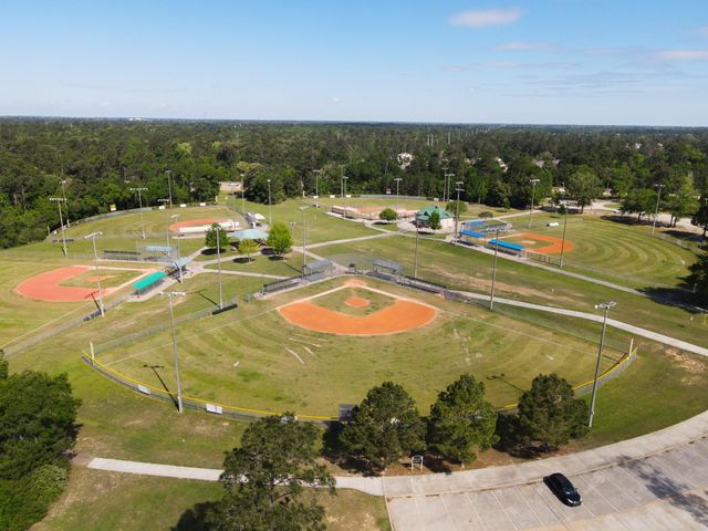 3057 Pampaneria Drive, Conroe, TX 77301