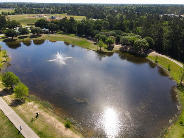 3057 Pampaneria Drive, Conroe, TX 77301