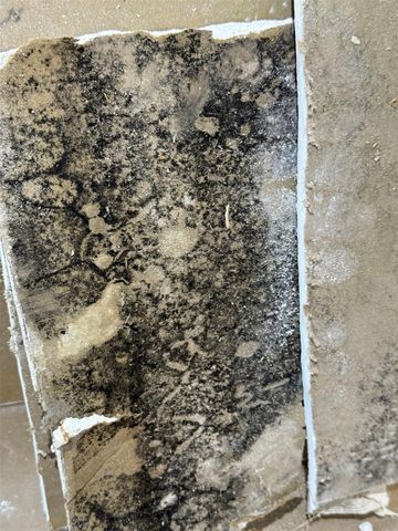 18 Hawkseye Place, The Woodlands, TX 77381