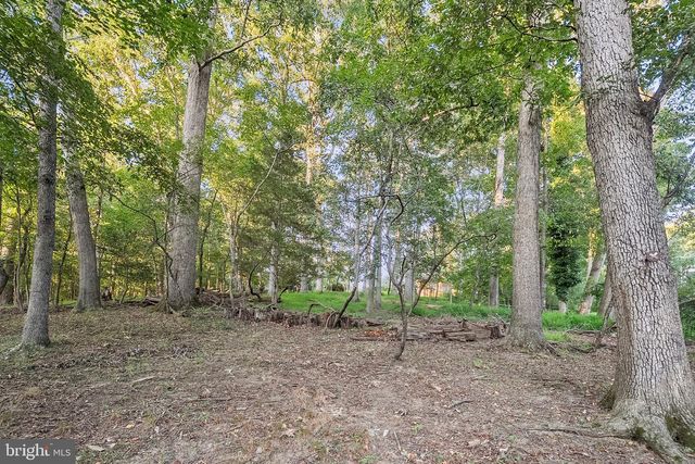 12509 WHITE DR, Silver Spring, MD 20904