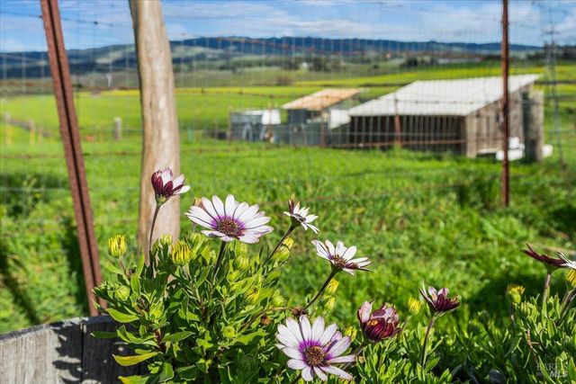 166 Davis Ln, Penngrove, CA 94951