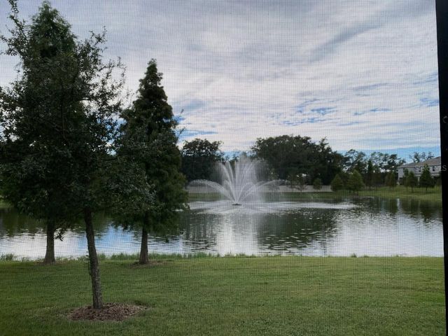 3250 PLEASANT WILLOW COURT, Brandon, FL 33511