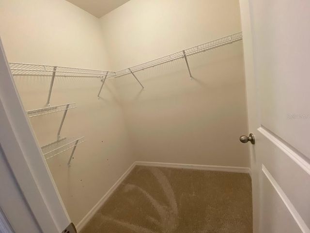 3250 PLEASANT WILLOW COURT, Brandon, FL 33511