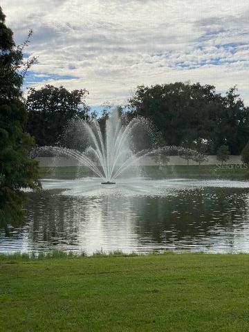 3250 PLEASANT WILLOW COURT, Brandon, FL 33511