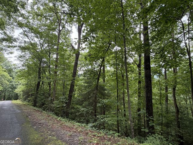 4.63 Twiggs Road, Hiawassee, GA 30546