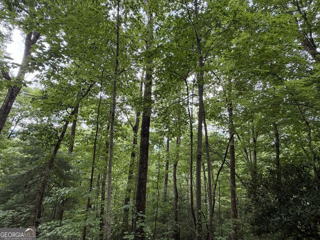 4.63 Twiggs Road, Hiawassee, GA 30546