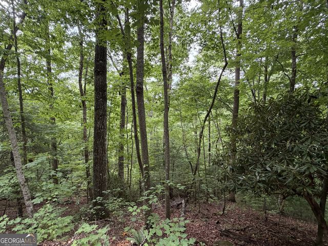 4.63 Twiggs Road, Hiawassee, GA 30546