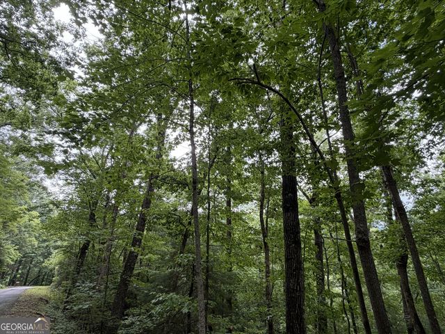 4.63 Twiggs Road, Hiawassee, GA 30546