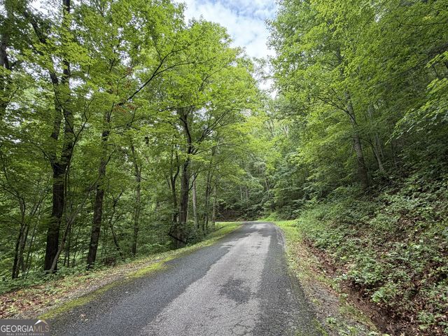 4.63 Twiggs Road, Hiawassee, GA 30546