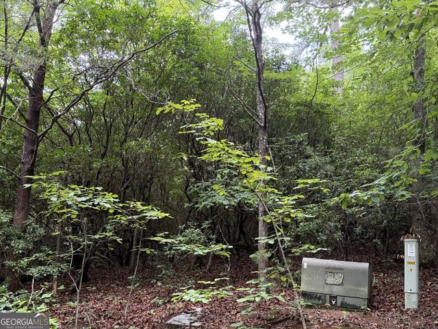 4.63 Twiggs Road, Hiawassee, GA 30546