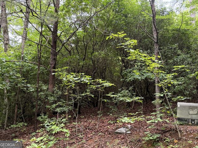 4.63 Twiggs Road, Hiawassee, GA 30546