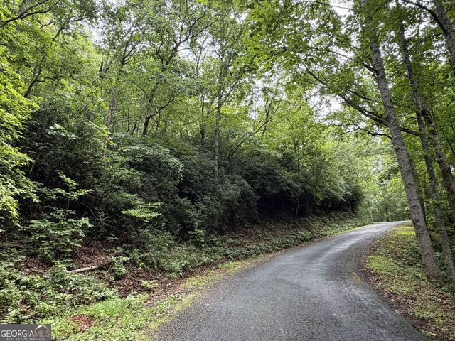 4.63 Twiggs Road, Hiawassee, GA 30546
