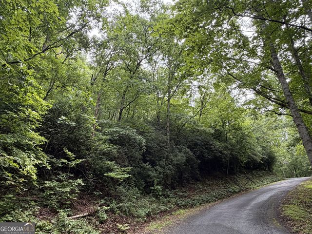 4.63 Twiggs Road, Hiawassee, GA 30546