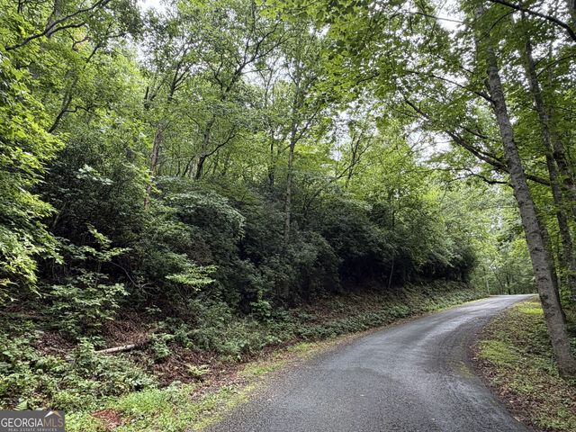 4.63 Twiggs Road, Hiawassee, GA 30546
