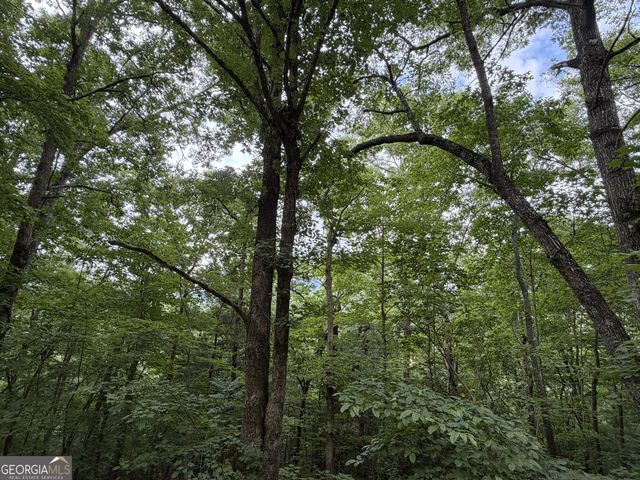 4.63 Twiggs Road, Hiawassee, GA 30546