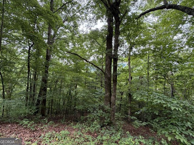 4.63 Twiggs Road, Hiawassee, GA 30546