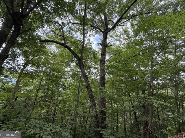4.63 Twiggs Road, Hiawassee, GA 30546
